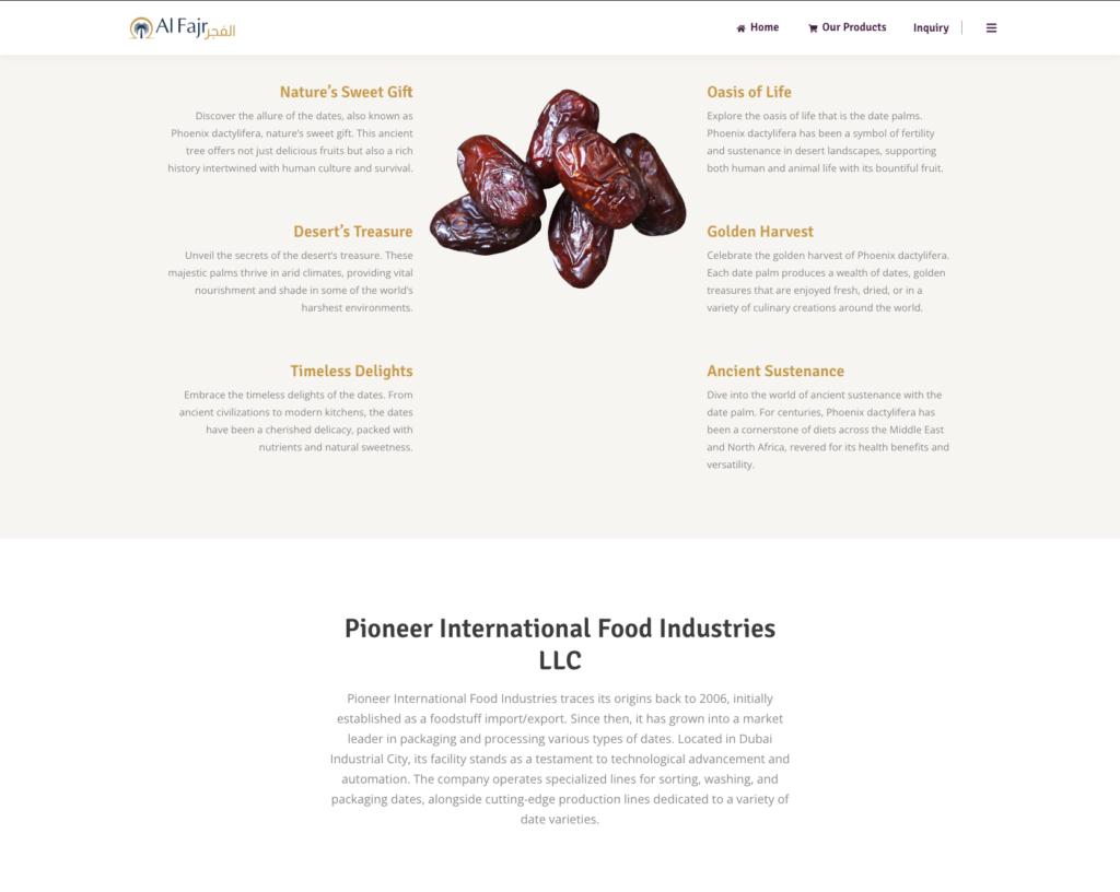 Website for a Business showcase