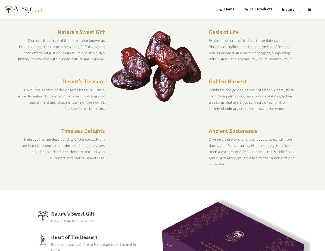 Website for a Business project